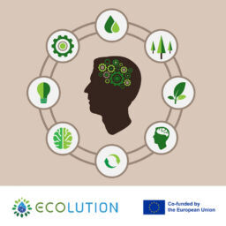 ecolution-8-c-256x256