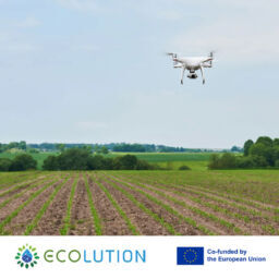 ecolution-blogs-22-256x256