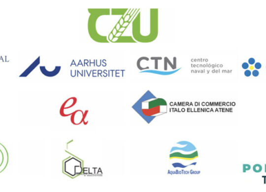 ecolution-consortium-e1771385705231-1024x429